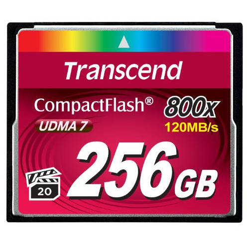 Card Transcend Compact Flash 256GB 800x