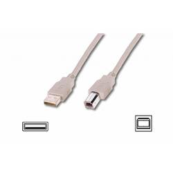 Cable USB2,0 A m / B m dl.1,8m - beige
