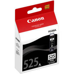 Cerneala Canon PGI525 PGBK BLISTER cu securitate