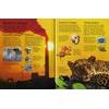Usborne First Encyclopedia of Our World