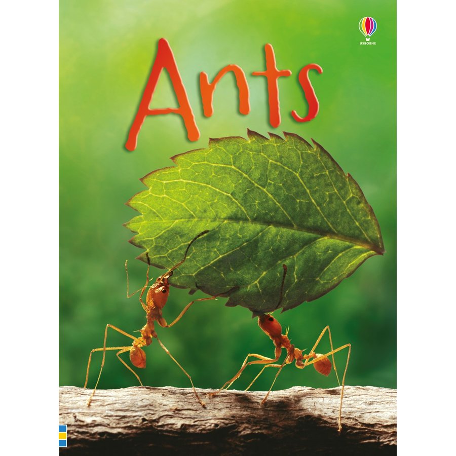 Beginners - Ants