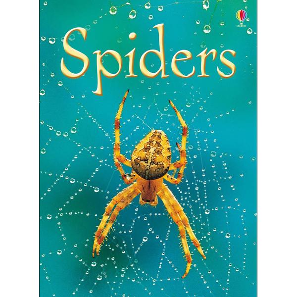 Usborne Beginners - Spiders