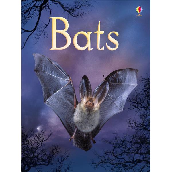 Usborne Beginners - Bats