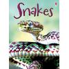 Usborne Beginners - Snakes