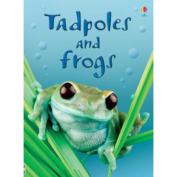 Usborne Beginners - Tadpoles and Frogs