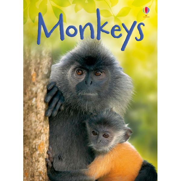 Usborne Beginners - Monkeys