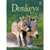 Usborne Beginners - Donkeys