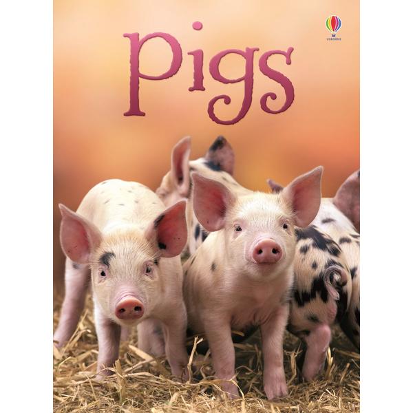 Usborne Beginners - Pigs