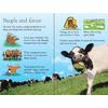 Usborne Beginners - Farm animals
