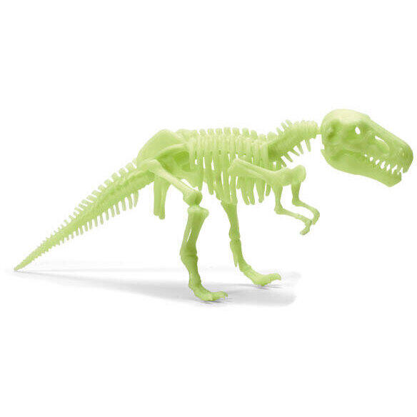 Brainstorm Toys Schelet T-Rex reflectorizant