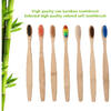Set 10 periute de dinti din bambus  In One IO022