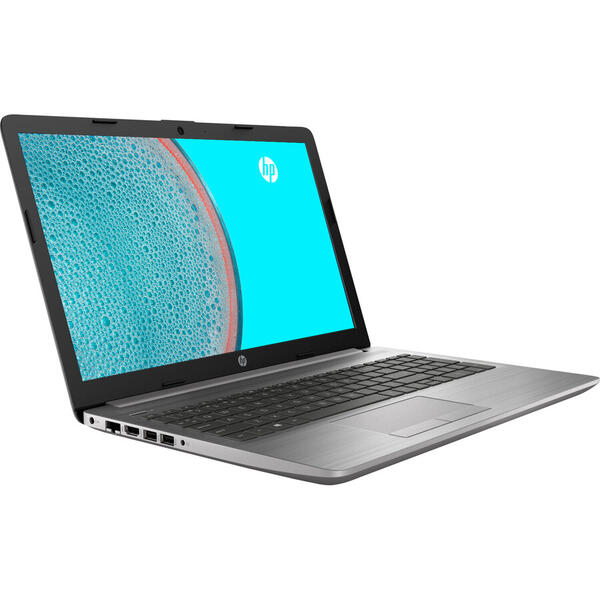 Laptop HP 250 G7 Intel Core (10th Gen) i7-1065G7 256GB SSD 8GB FullHD DVD-RW Argintiu