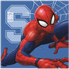 Prosopel magic Spiderman 30x30 cm SunCity CTL99422B