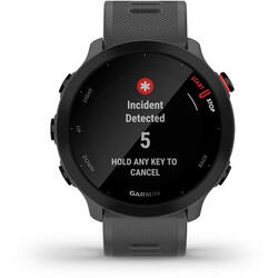 Smartwatch Garmin Forerunner 55