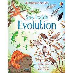 See Inside - Evolution