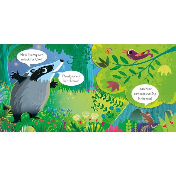 Usborne Lift the flap - Play Hide And Seek With Fox