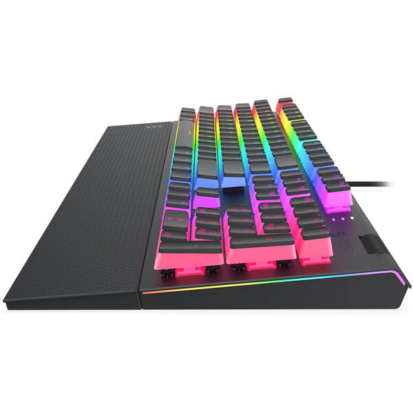 SPC Gear Tastatura gaming mecanica SPC GK650K Omnis Kailh BLUE RGB Pudding Edition, Full RGB, Switchuri Red