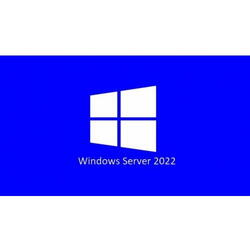 Licenta Microsoft Windows 2022 Server Engleza 1 CAL Device