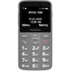 Telefon Mobil Panasonic KX-TU160 EXG Single SIM, 2G, Gri