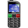 Telefon mobil EVOLVEO EasyPhone EP850 pentru seniori, Dual Sim, 2G, Argintiu