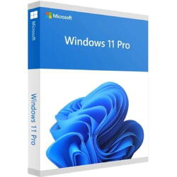 Licenta Microsoft® Windows 11 Pro, 64-bit, Engleza, FPP Retail, USB