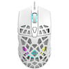 Mouse Gaming Canyon Puncher White