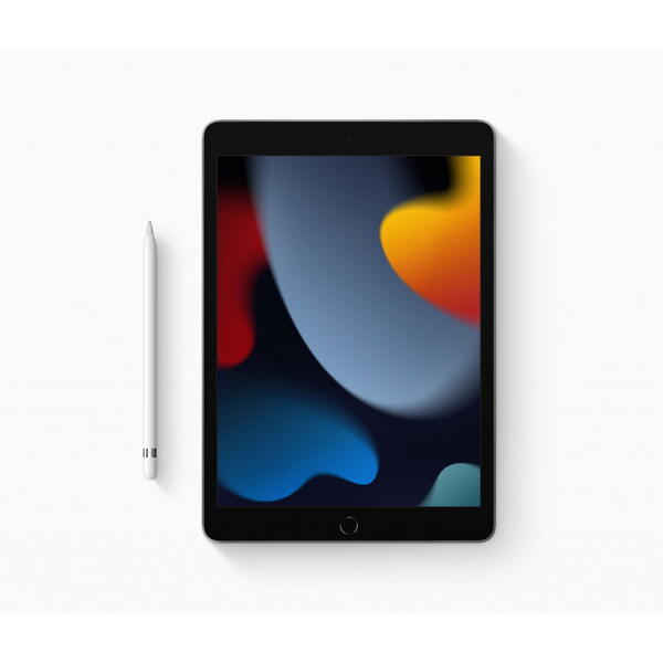 Tableta Apple iPad (9th Generation 2021) 10.2 inch 256GB Wi-Fi Silver