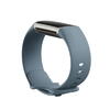 Bratara fitness Fitbit Charge 5, Stainless Steel, Steel Blue/Platinum