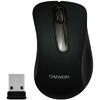 CANYON Mouse CNE-CMSW2 (Wireless, Optical 800 dpi, 3 btn, USB), Black