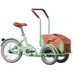 Bicicleta Pegas Mini Cargo 1S pentru copii, Verde Fistic