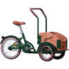 Bicicleta Pegas Mini Cargo 1S pentru copii, Verde Smarald