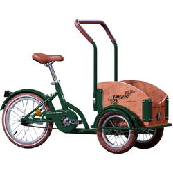 Bicicleta Pegas Mini Cargo 1S pentru copii, Verde Smarald
