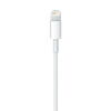 Cablu de date Apple Lightning - USB, 1m