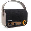 Radio Portabil AM/FM, Aiwa RBTU-600, Design Retro, USB, Bluetooth, Negru/Auriu