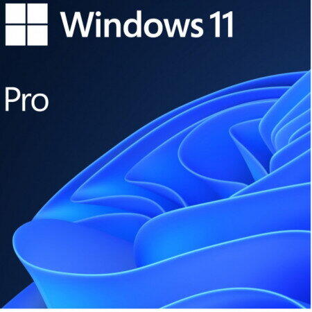 Sistem de operare Microsoft Windows 11 Pro, 64-bit, ENG, OEM,  DVD