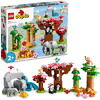 LEGO® DUPLO® - Animale salbatice din Asia 10974, 117 piese
