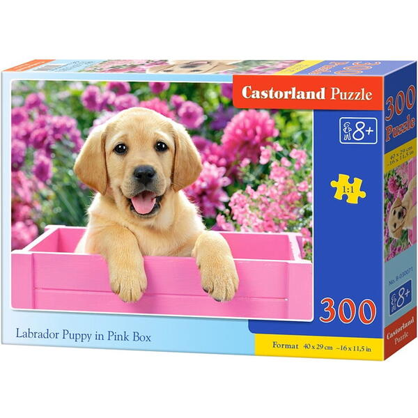 Puzzle Castorland, Pui de labrador in cutie roz, 300 piese