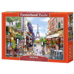 Puzzle Castorland, Paris, 3000 piese