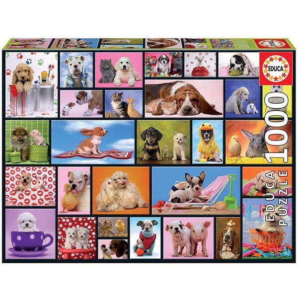Puzzle Educa - Shared Moments, 1000 piese
