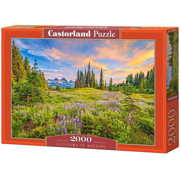 Castor Puzzle 2000 piese Blossoms of Morning