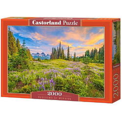 Puzzle 2000 piese Blossoms of Morning