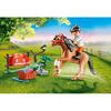 Playmobil Country - Pony Farm, Figurina colectie ponei Connemara