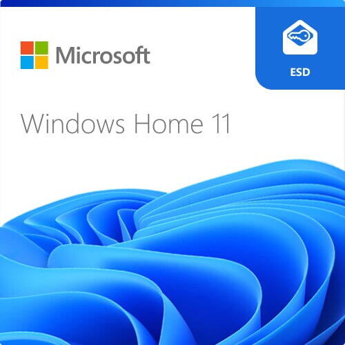 Microsoft Windows 11 Home - 1 licence - ESD
