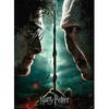Puzzle Ravensburger - Harry Potter vs. Voldemort, 200 piese