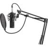 natec Microfon de studio Genesis Radium 300 XLR, Negru