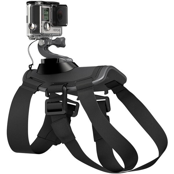 Ham ajustabill camera video sport GoPro, pentru caini